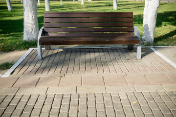 Bench in a Park