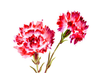 Watercolor red flower carnation - obrazy, fototapety, plakaty