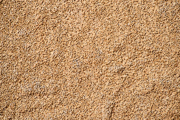 organic wall texture background