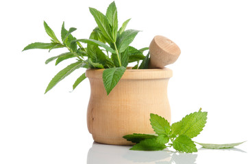 Fresh green mint in wooden mortar on white background