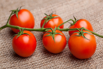 Bunch of fresh tomatoes on sacking