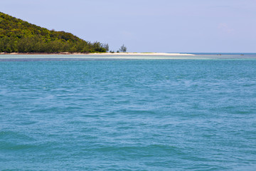  south   thailand kho  bay  coastline of   lagoon and tree