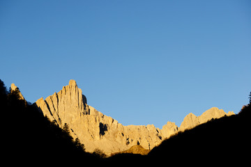 Pyrenees