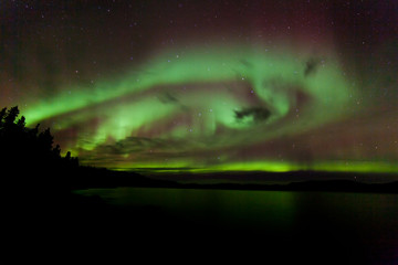 Aurora borealis swirls dancing over Lake Laberge Yukon Canada