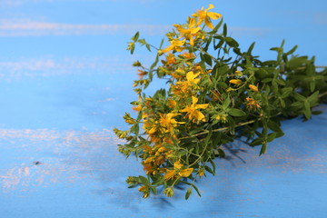 Tutsan on the old wooden table