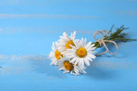 Beautiful chamomiles on a wooden table