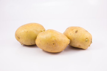 group of potato on white background