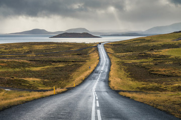 Road line perspective around with plant in Autumn season in cloudy day