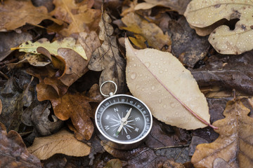 Compass