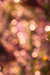 Colourful spark and blow WONDERFUL natural bokeh