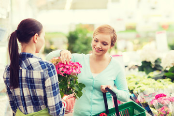 happy women choosing flowers in greenhouse