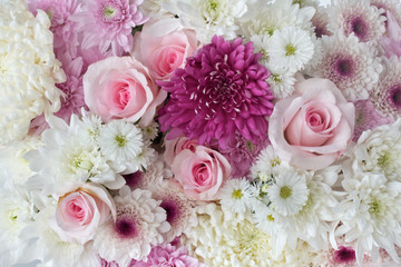 Background of Roses and Daisies