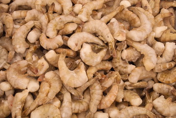 Small frozen shrimp in the refrigerator