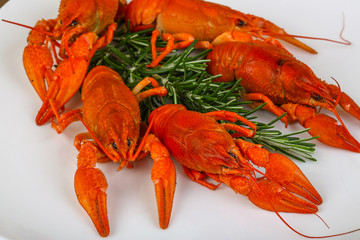 Crayfish