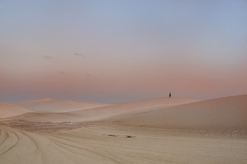 Yemen. Socotra. Desert landscape with the silhouette of calm away
