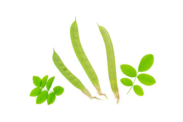 Leaf butterfly pea on white background