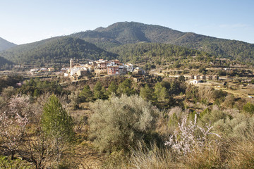 Fototapeta na wymiar Spanish village, back country
