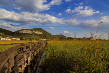 Ponte di legno in una campagna