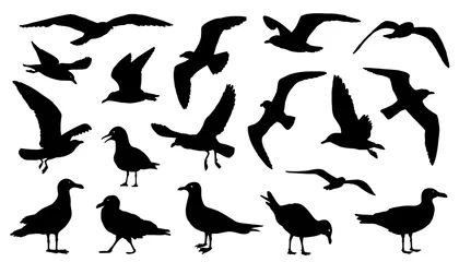 Fotobehang seagull silhouettes © jan stopka