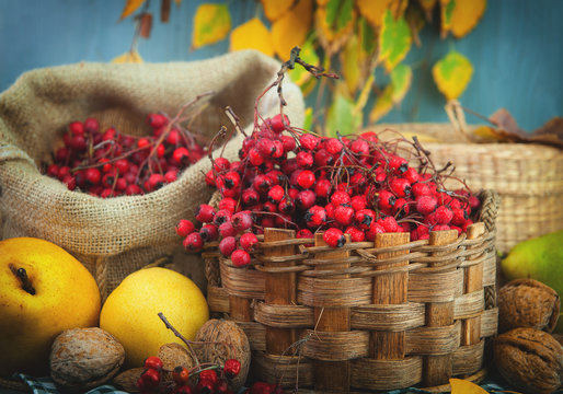 Hawthorn berries in a basket 