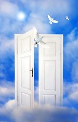 Doves of peace