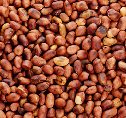 Roasted peanuts in closeup on background.