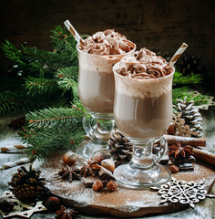 delicious hot chocolate with chocolate and whipped cream, decora