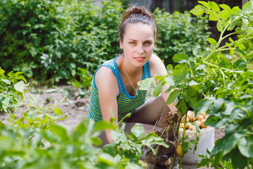 woman harvesting potatoes