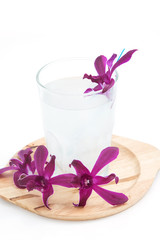 Fresh Organic Coconut Water in a Glass