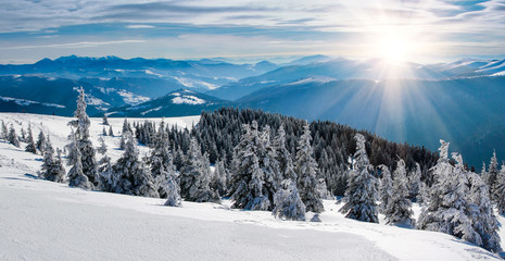 Snow covered trees and mountain peaks in the distance with sunlight and snow flakes. 