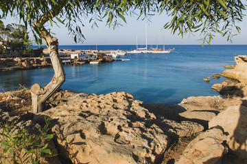 Beach with clear sea, vegetation and harbor with ships in the background