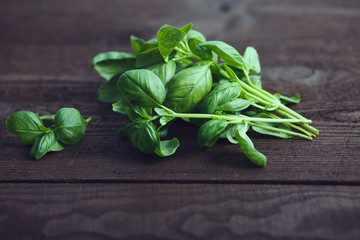 Green basil on a dark wood background