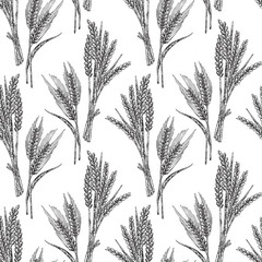 Wheat seamless pattern. Vector illustration in sketch style. 