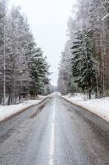 Дорога в зимнем лесу.