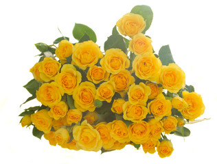bouquet of fresh roses