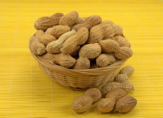 Erdnüsse - Arachis hypogaea