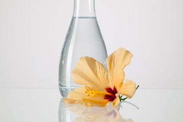 The vase with clean water and hibiskus flower