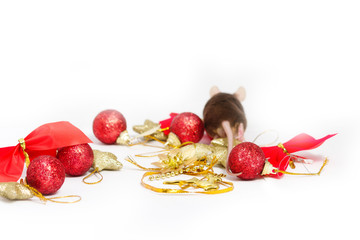 Fat brown mouse runs away from the red and gold Christmas decorations.