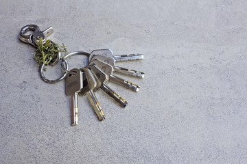 Keychain and Many keys on gray tile background