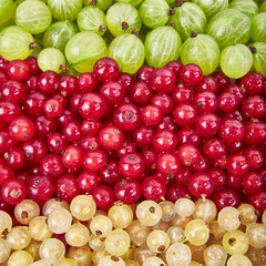 Fresh fruits background