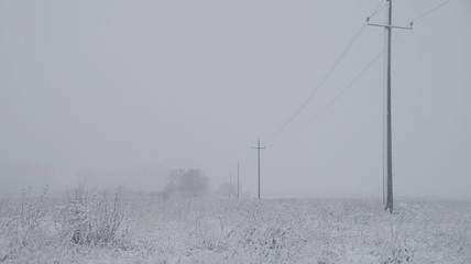 Fototapeta na wymiar Snow-covered road in a field, grass and trees in winter snowfall and poor visibility