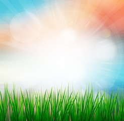 Fresh spring green grass with sunlight blured background,Nature illustration
