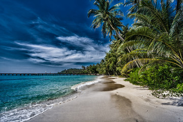 Beach with palm trees. dramatic sky with dark clouds.  Beautiful