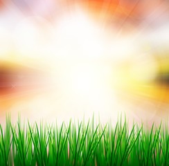 Fototapeta premium Fresh spring green grass with sunlight blured background,Nature illustration