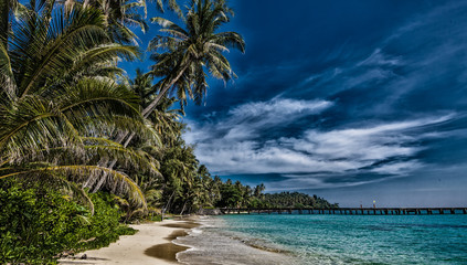 Fototapeta na wymiar Beach with palm trees. dramatic sky with dark clouds. Beautiful