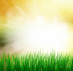 Fototapeta na wymiar Fresh spring green grass with sunlight blured background,Nature illustration