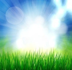 Fototapeta premium Fresh spring green grass with sunlight blured background,Nature illustration