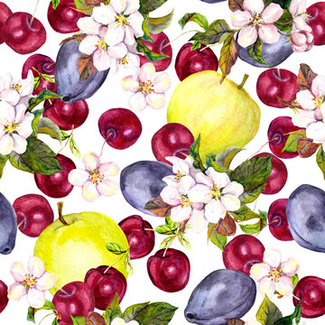 Cherry flowers and harvest fruits: plum, cherry, apple. Seamless pattern. Watercolor 