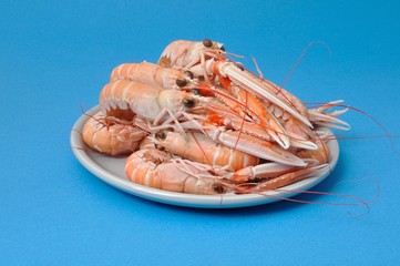 Close-up of three scampi