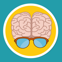 Intelligence of the human brain 